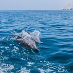 Atana Musandam Resort