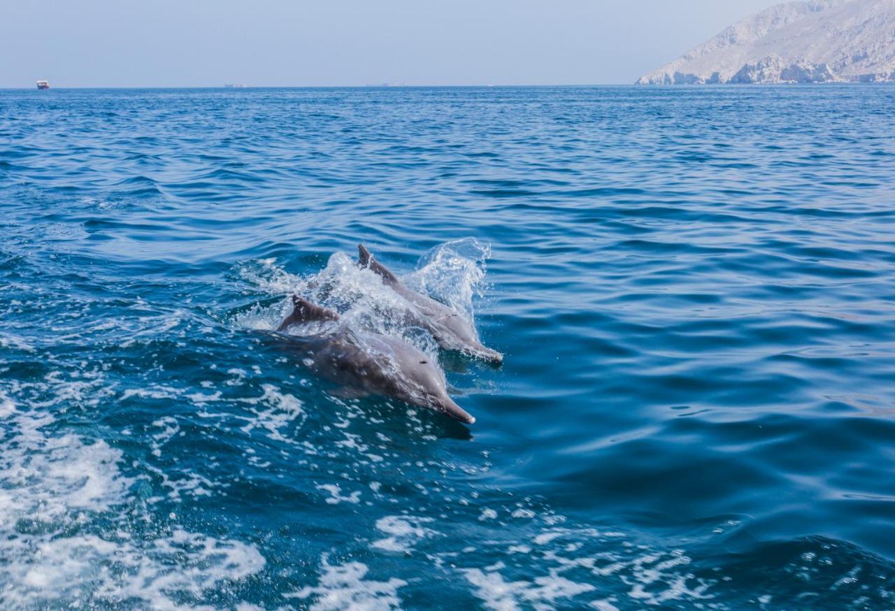 Atana Musandam Station touristique Khasab